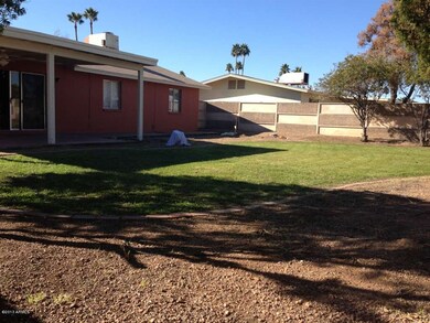 backyard2