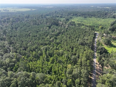 0 Louisiana 1045, Amite, LA 70422 - photo 4