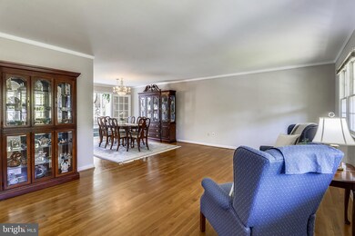 1403 Dade Ln, Alexandria, VA 22308 - photo 4