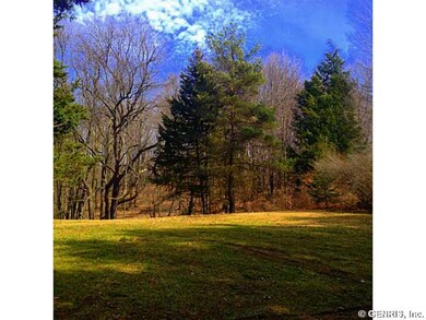 Backyard. Gorgeous setting