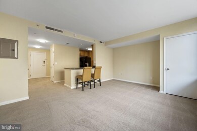 355 I St SW unit 226S, Washington, DC 20024 - photo 7