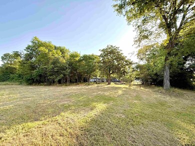 3235 County Rd 3365, Cookville, TX 75558 - photo 5