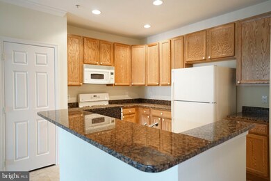 1301 Karen Blvd unit 402, Capitol Heights, MD 20743 - photo 4