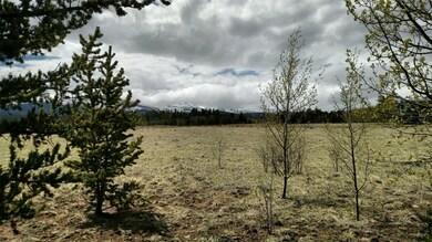 0 Bluestem Way, Fairplay, CO 80440