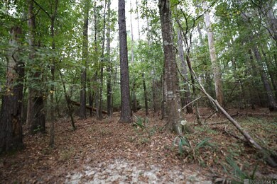 211 Fred Rogers Rd, Montgomery, LA 71454 - photo 7