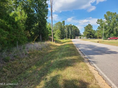 Nhn George Wise Rd, Carriere, MS 39426 - photo 4
