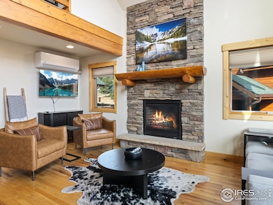 147 Willowstone Dr unit 2, Estes Park, CO 80517 - photo 4