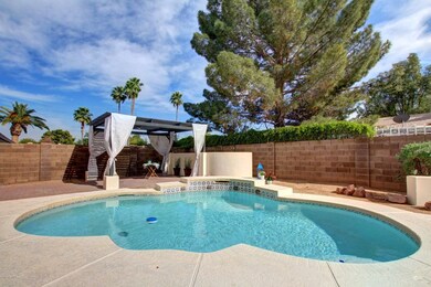 Resort Style Backyard!