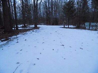 77 Fence Row Cir, Leroy, MI 49655 - photo 6