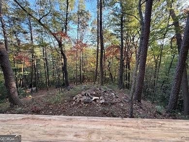 447 Creekview Dr, Ellijay, GA 30536 - photo 7