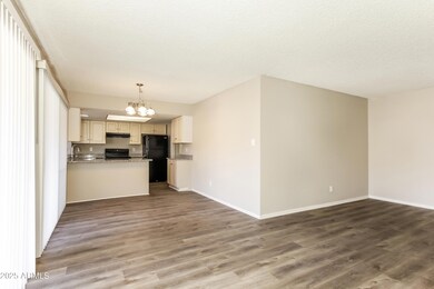 004-photo-dining-room-10146604