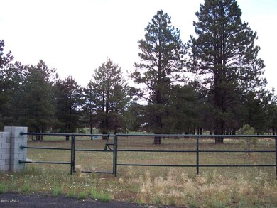 right side on yard