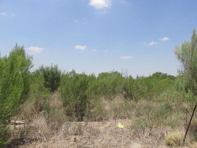 TBD N Goolie Rd, Donna, TX 78537 - photo 3