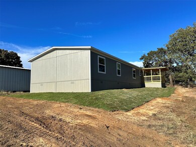 460 Big Salty Dr, Springtown, TX 76082 - photo 3