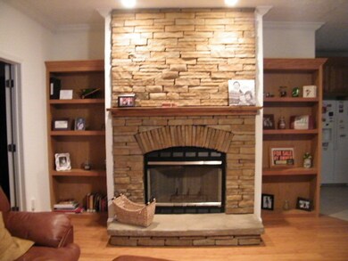 Rock Wood Burning FP