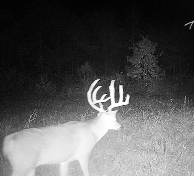 4245 Goodwater Rd, Eagletown, OK 74734 - photo 3