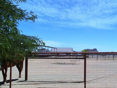 Lots of room for horses
