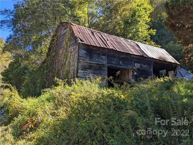 3703 Us Highway 19w, Burnsville, NC 28714 - photo 4