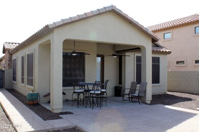 BACKYARD 1