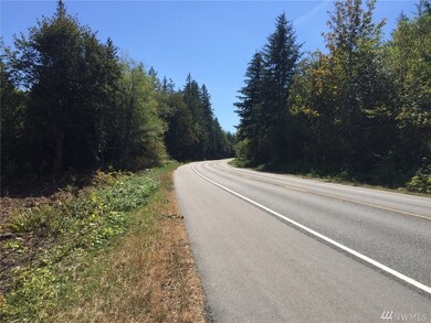 0 Center Rd unit 1021665, Quilcene, WA 98376 - photo 2
