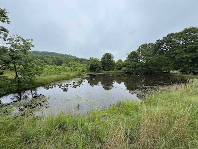 0 Honeytree Ln, Camp, AR 72520 - photo 4