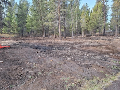 0 Brook Trout Ln unit Block 6 Lot 3, Chiloquin, OR 97624 - photo 6