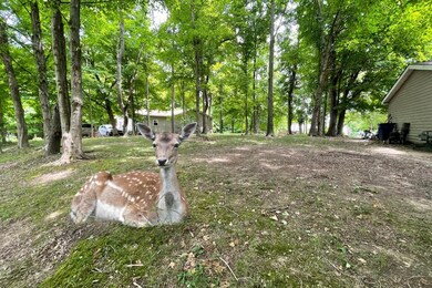3362 Apple Valley Dr unit Lot 161 King Beach T, Howard, OH 43028 - photo 3