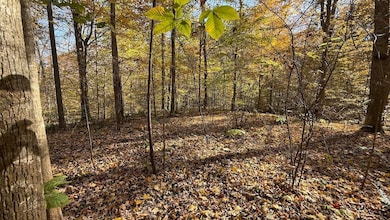 0 Gloryville Rd unit LotWP001, Freedom, IN 47431 - photo 7