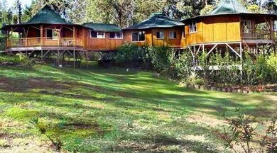 1880 Piiholo Rd unit A, Makawao, HI 96768 - photo 3