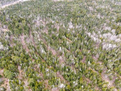 DJI_0921