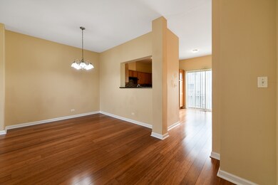 9475 Harrison St unit 671494, Des Plaines, IL 60016 - photo 6