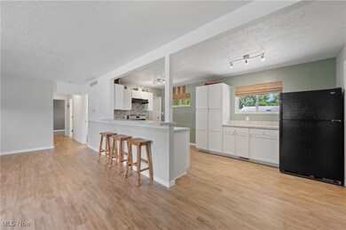 3510 Ivanhoe Dr, Kent, OH 44240 - photo 7