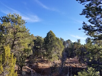 0 Cedar Creek Dr unit Lot 24L 218360, Aripine, AZ 85933 - photo 4