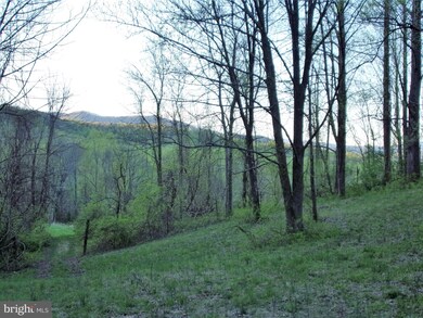 0 F T Valley Rd unit VARP107254, Sperryville, VA 22740 - photo 5