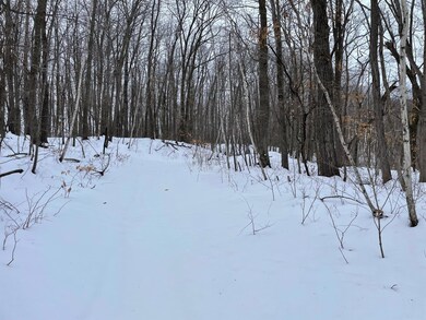 tbd Pebble Pass, Cushing Township, MN 56443 - photo 3