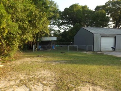 41' x 12' Shed