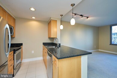 The Odyssey Condominiums unit 421, Arlington, VA 22201 - photo 7