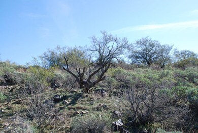 Middle of Lot 2