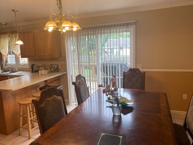 113 Michon St, Indian Orchard, MA 01151 - photo 7