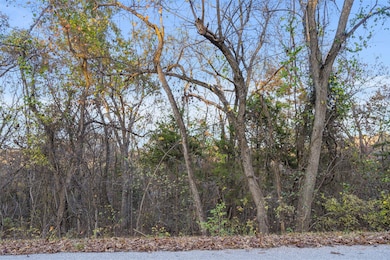 24 & 25 Lakeview Dr, Hollister, MO 65672 - photo 7