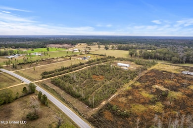 0 W Wire Rd unit 4133120, Perkinston, MS 39573 - photo 5