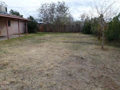 023-283033 - Backyard 4