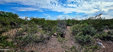 TBD N Rosa Ct unit 602, Tombstone, AZ 85638 - photo 6
