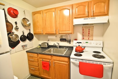 20 Radcliffe Rd unit 402, Allston, MA 02134 - photo 4