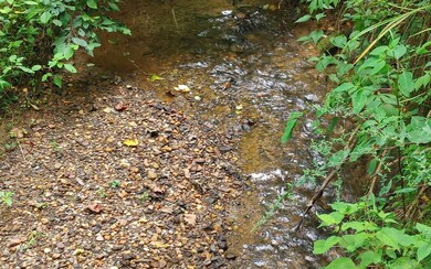 Additional View
