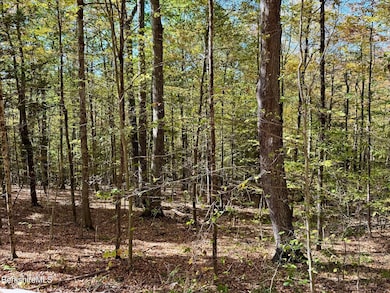 0 Potters Rd unit 248445, Charlemont, MA 01339 - photo 2