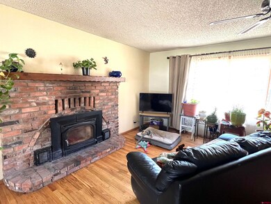 1920 Highland Ave, Durango, CO 81301 - photo 4