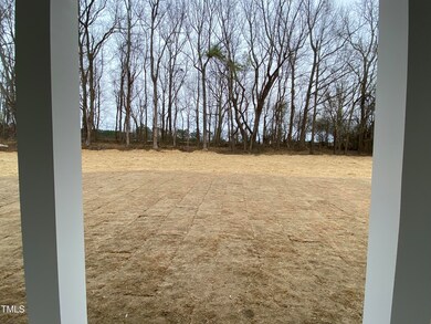 Rear Yard