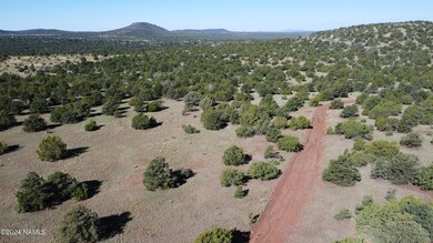DJI_0267