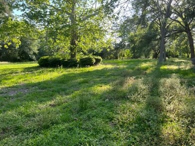 1333 Lovett St, Tomball, TX 77375 - photo 2